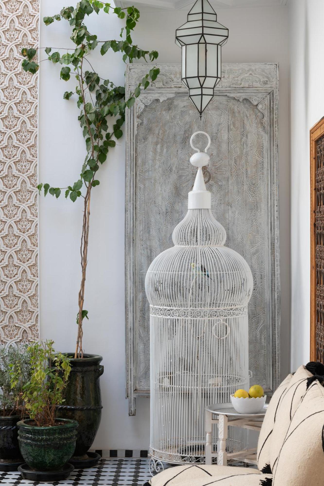 Riad Botanica Marraquexe Exterior foto